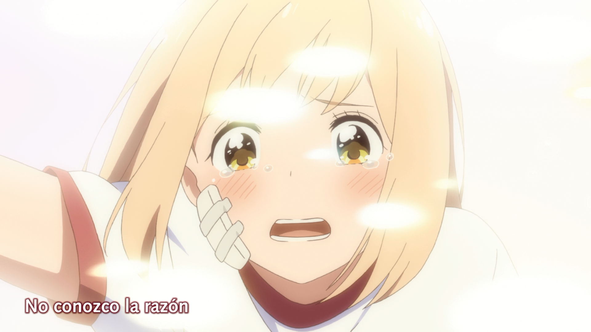 Kimi no Hikari: Asagao to Kase-san. (RabuSubs)